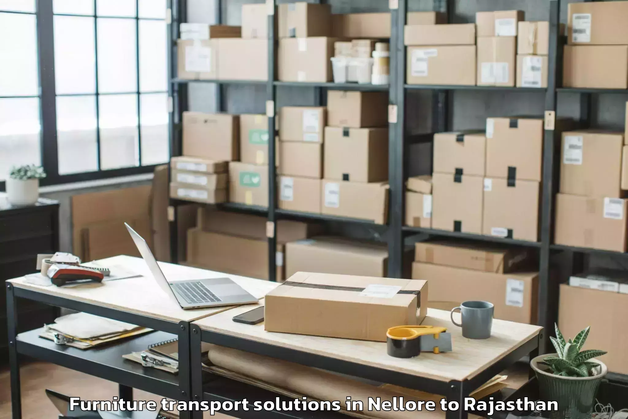 Get Nellore to Udaipur Airport Udr Furniture Transport Solutions